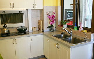 老板廚具評(píng)測(cè) 專業(yè)廚房與品質(zhì)衛(wèi)浴的明智之選